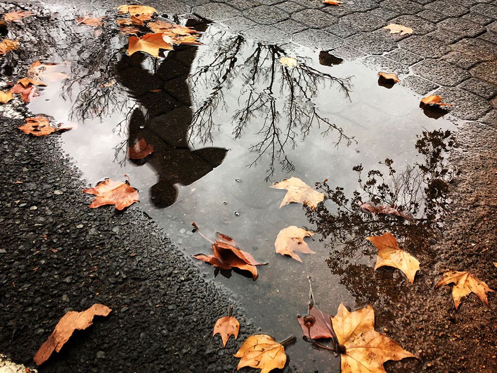 How the parkrun became the latest easy living, fun activity for Jozi