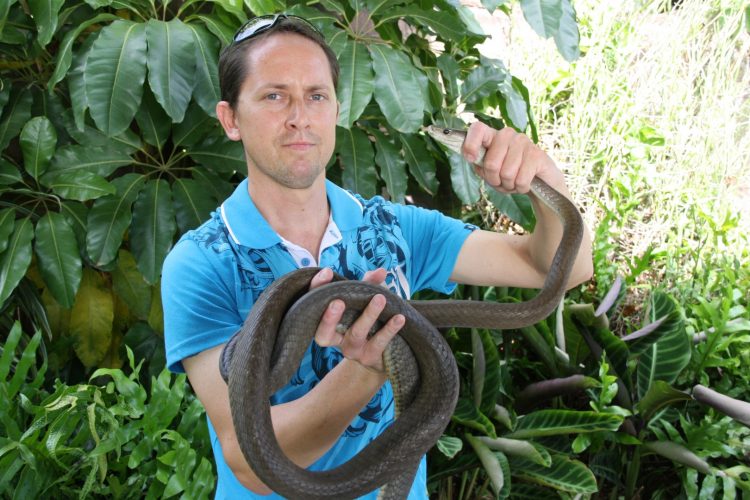 KZN snake catcher warns residents of start of mating season The Citizen