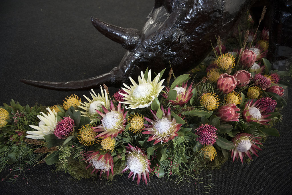 Best of the Joburg International Flower Show The Citizen