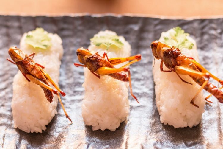 Stop the bug apocalypse and grab a scoop of locust ice cream The