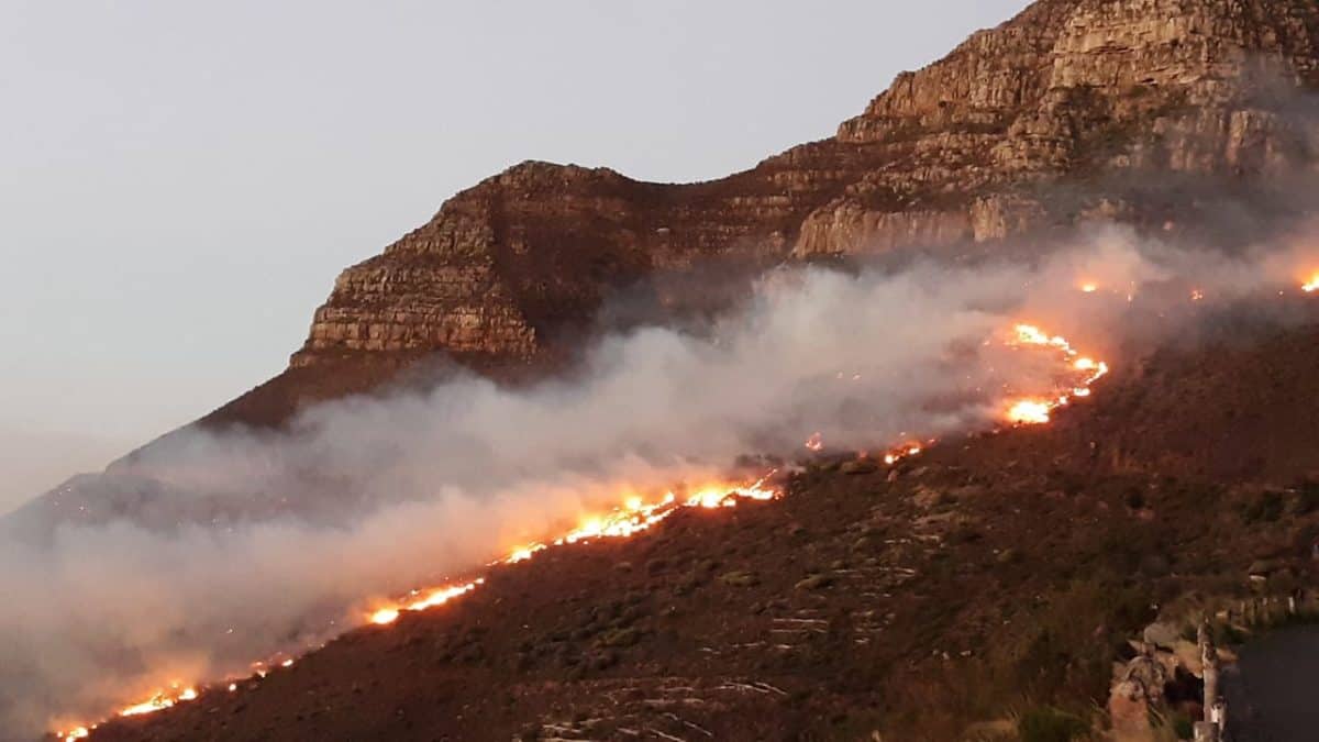 Table Mountain National Park fires A summary of the devastation