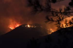 Four dead in Cyprus' worst forest fire in decades