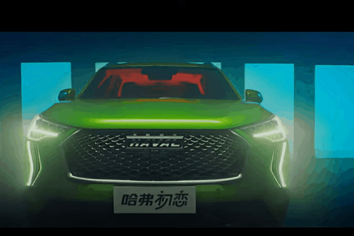 Orchids and onions: Haval ad does good job of getting buyers' attention ...