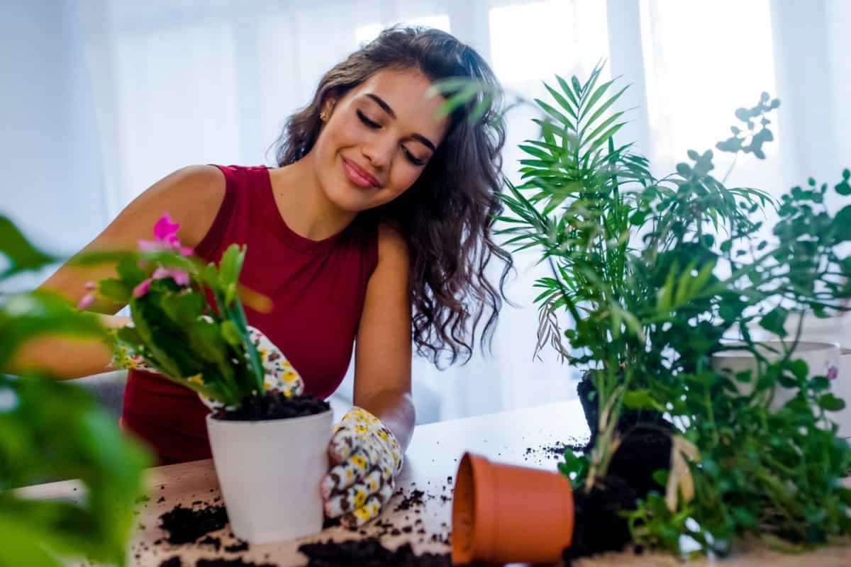 Take your houseplant for a walk day Bond with your plants in July