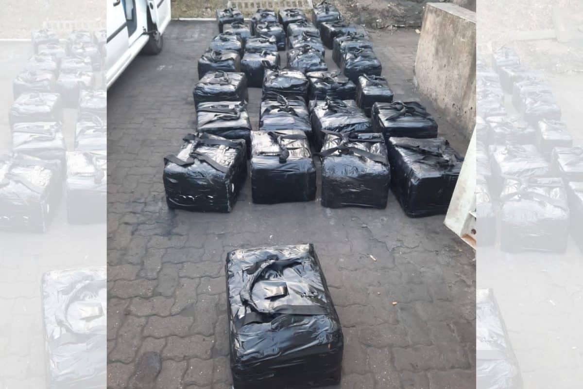 PICS: Hawks seize 999 cocaine bricks worth R500 million at Durban Harbour