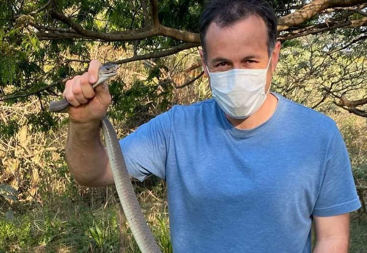 Busy day for snake catcher after callout for two black mambas on the