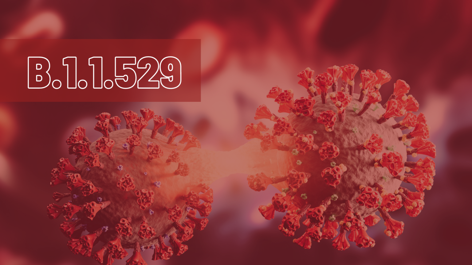 New Covid variant more transmissible, but maybe not deadlier The Citizen