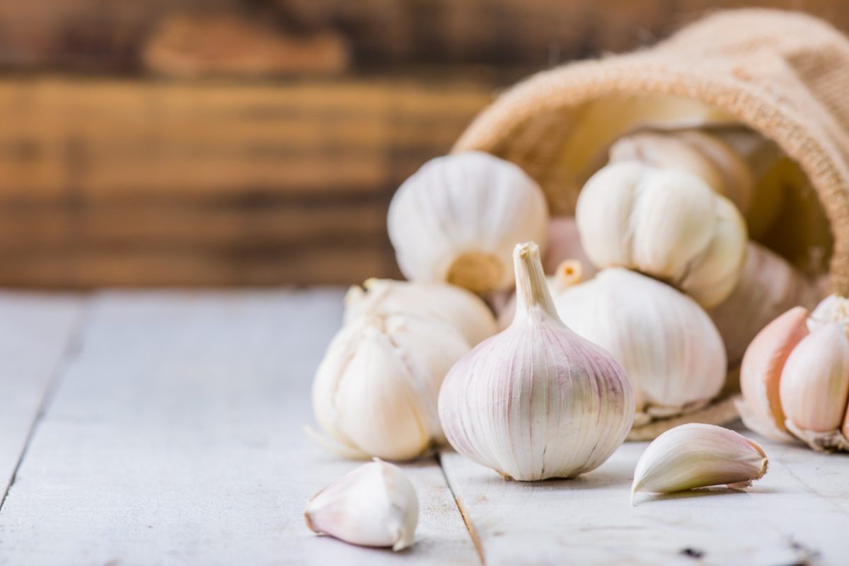 Daily hacks Can you decongest your nose using garlic cloves?