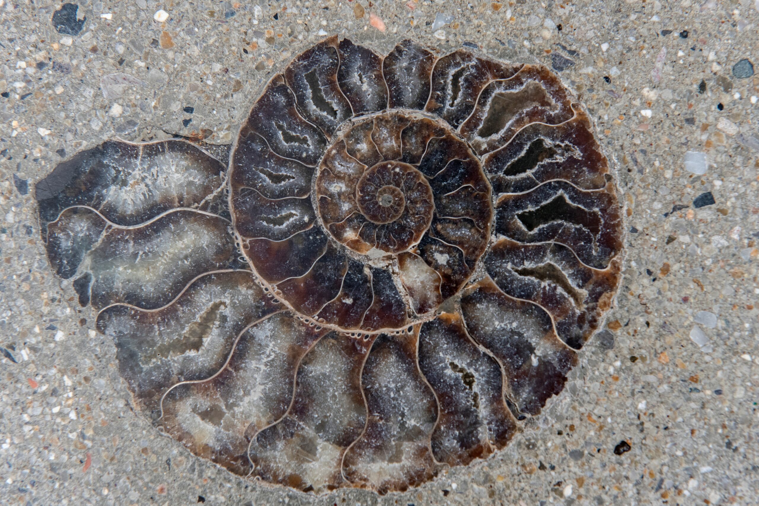 000_329D7TC-scaled.jpg?mrf-size=m