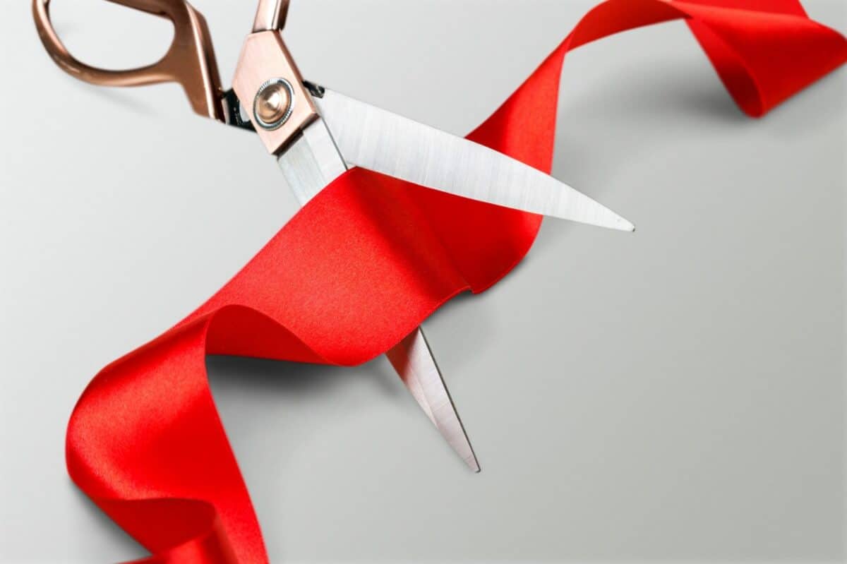 Cutting the red tape is a joke The Citizen