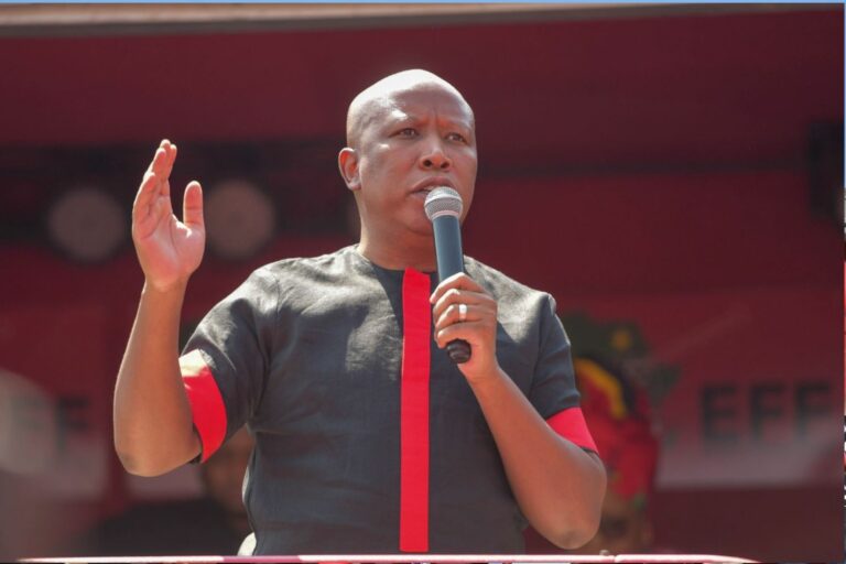 Stunning Malema Admits Knowing Nxumalo, Slams Tender Claims As Hearsay Image Concept Stunning Malema Admits Knowing Nxumalo, Slams Tender Claims As Hearsay Image Concept
