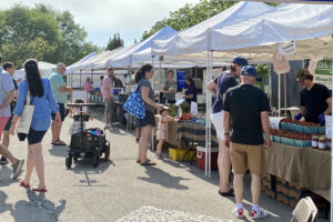 small business in spring