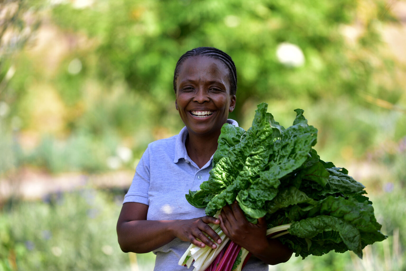 PICS, VIDEO Going organic with smallscale farming