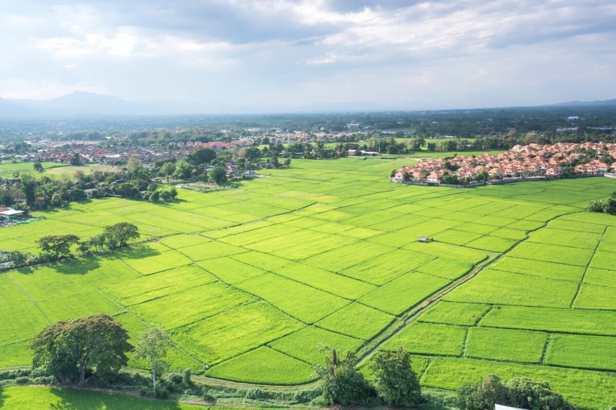 Land reform in South Africa is failing Here's why