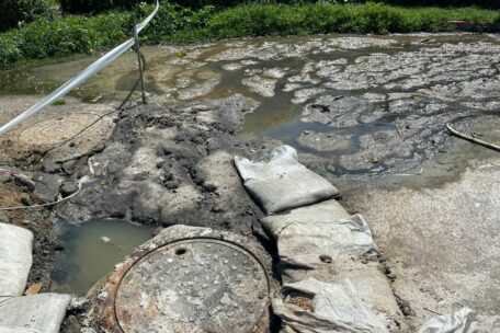 KZN sewage leaks a breeding ground for disease, warns expert