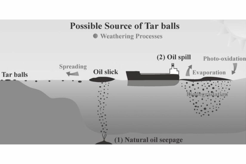 PICS Oil pellets wash up on Mossel Bay beaches, forcing closures