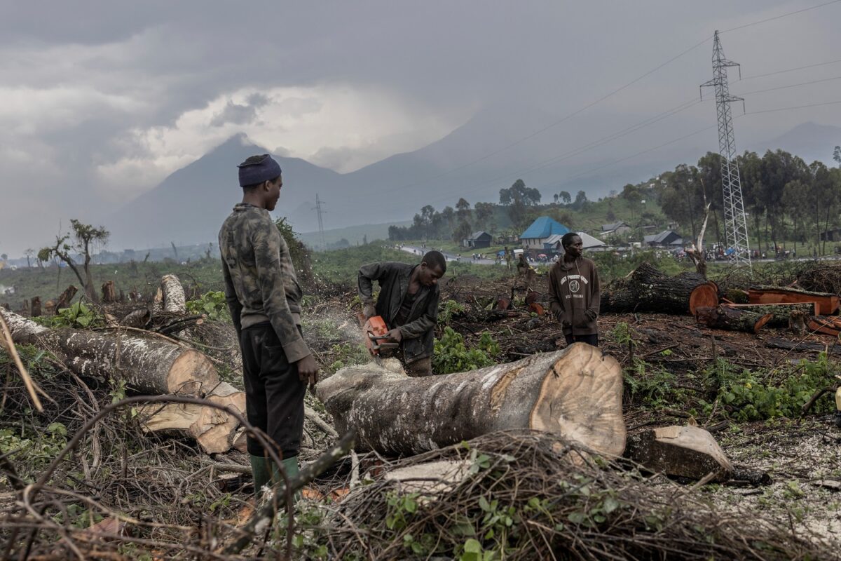 Deforestation imperils DR Congo reserve as refugees flood in