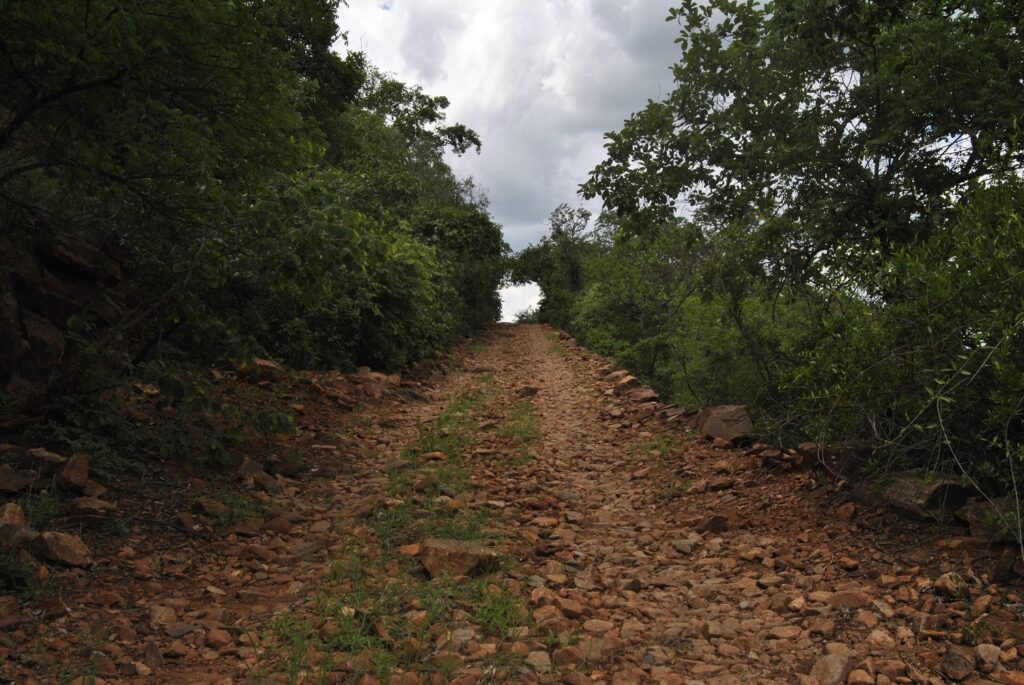 Road trip offroad Five 'adventure' tracks worth taking The Citizen