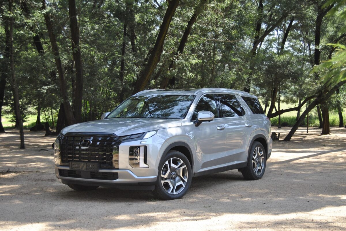 Fully loaded facelift Hyundai Palisade has what it takes The Citizen