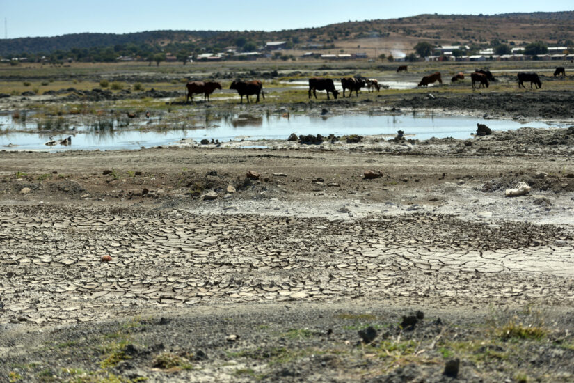 Jagersfontein disaster: Community still reeling as promised aid, houses are nowhere to be seen