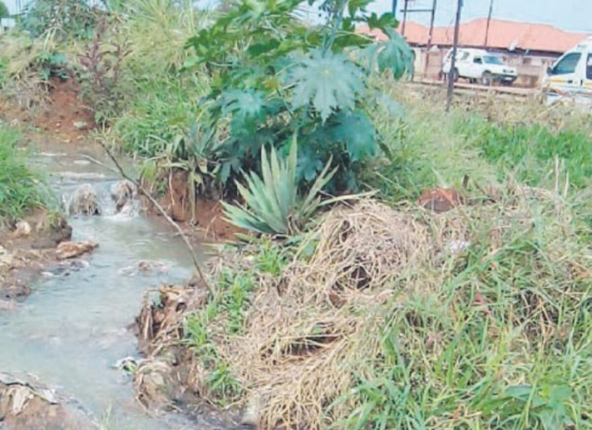 ‘We’re waiting for disease to strike' Mokopane residents on the unbearable smell of sewage