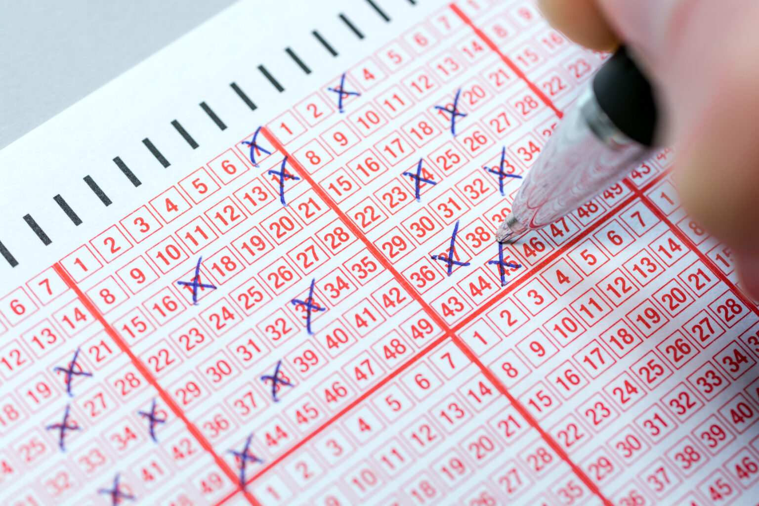 tonight's winning lotto numbers
