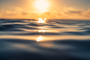 Global warming: World warming at record 0.2C per decade, scientists warn