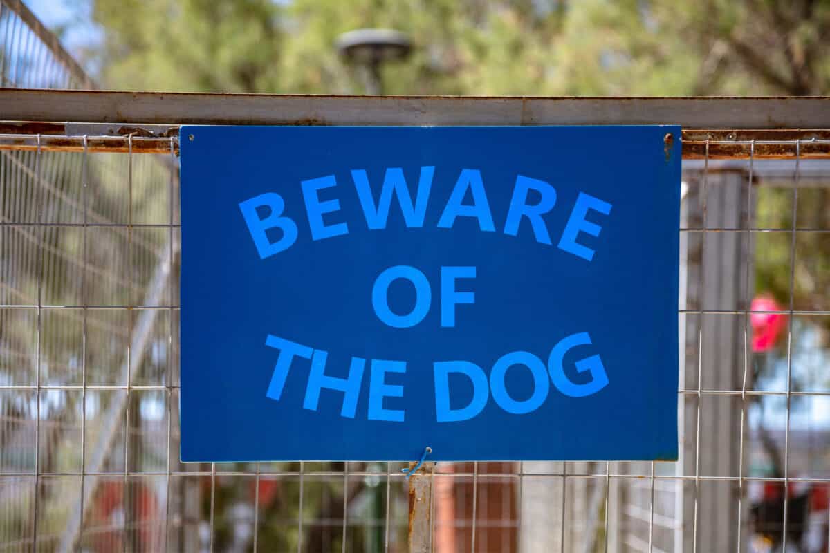 Watch out if your dog bites someone it could cost a pretty penny