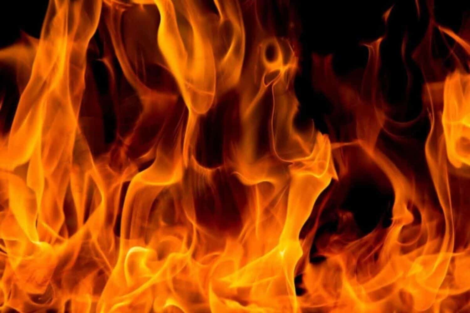 Eight shacks gutted by fire in Diepsloot - Vimarsana News