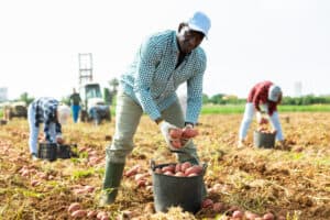 agriculture jobs