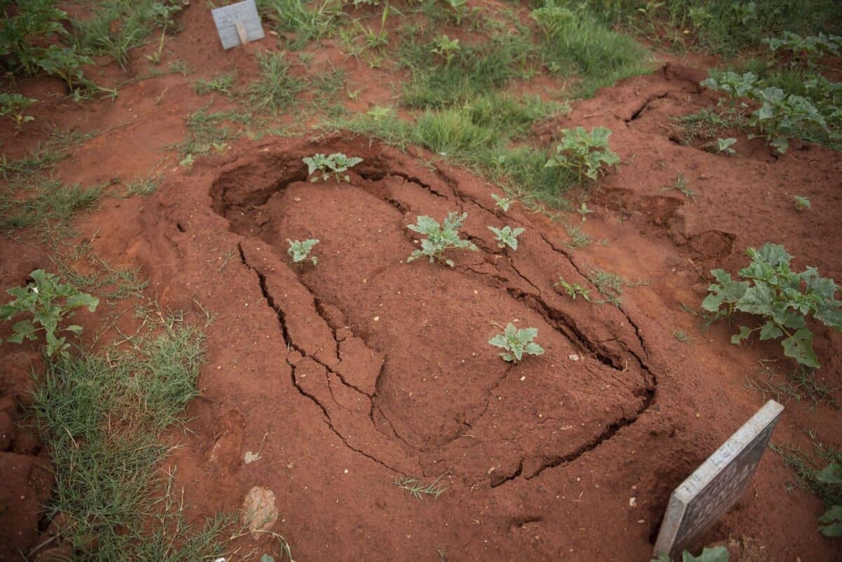 WATCH: Heavy rains lead to graves and tombstones collapsing in Joburg ...