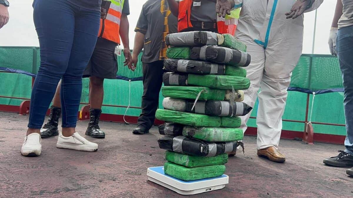 WATCH: R1.5 billion worth of drugs seized in KZN since October 2023 ...