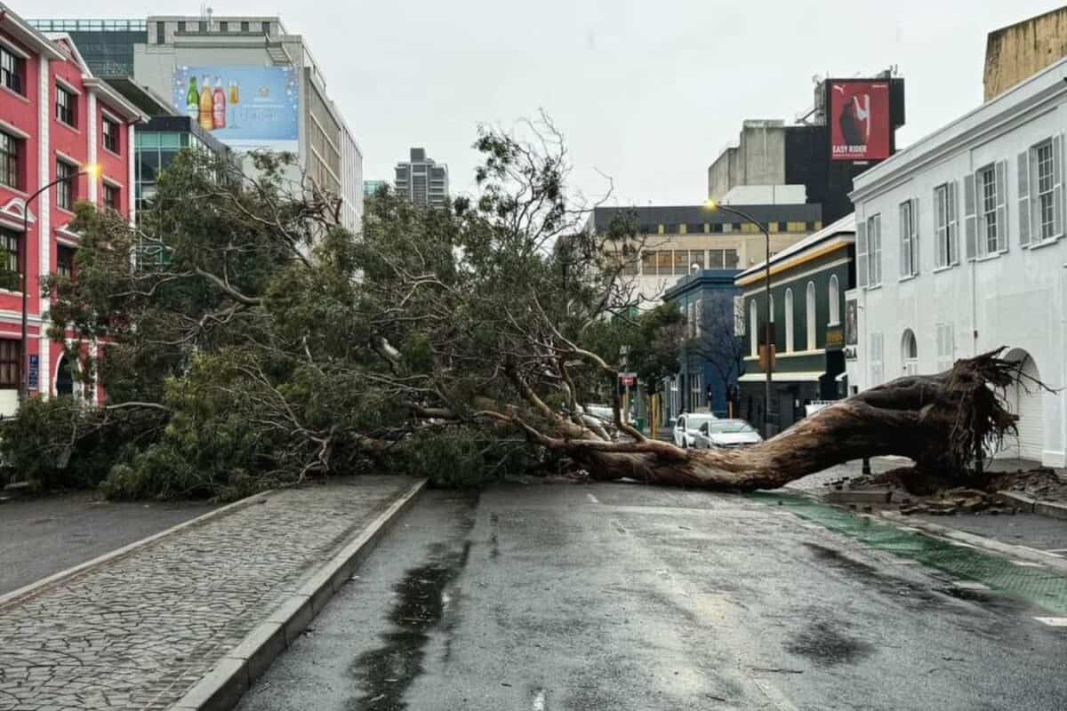 Cape Storm: WC braces for another day of heavy rain and flooding | The ...