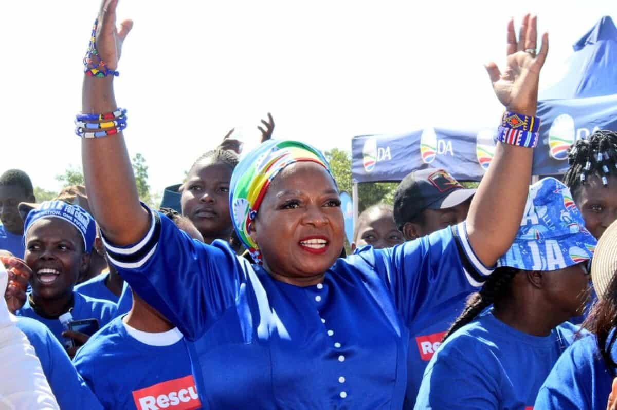 New deputy minister of small business development wears two hats The