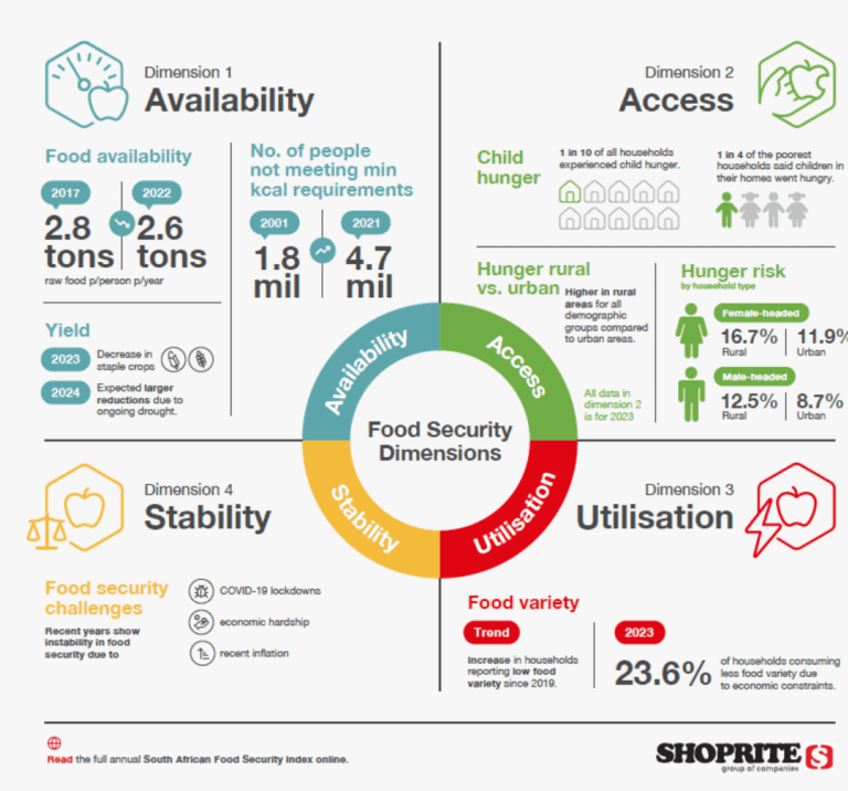 Food security in SA lowest in decade, child hunger a major issue - index