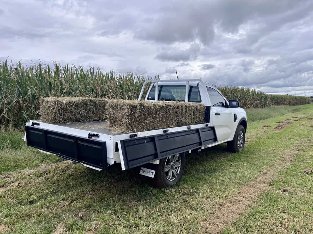 Overboard: Ford Ranger Dropside puts hard work first