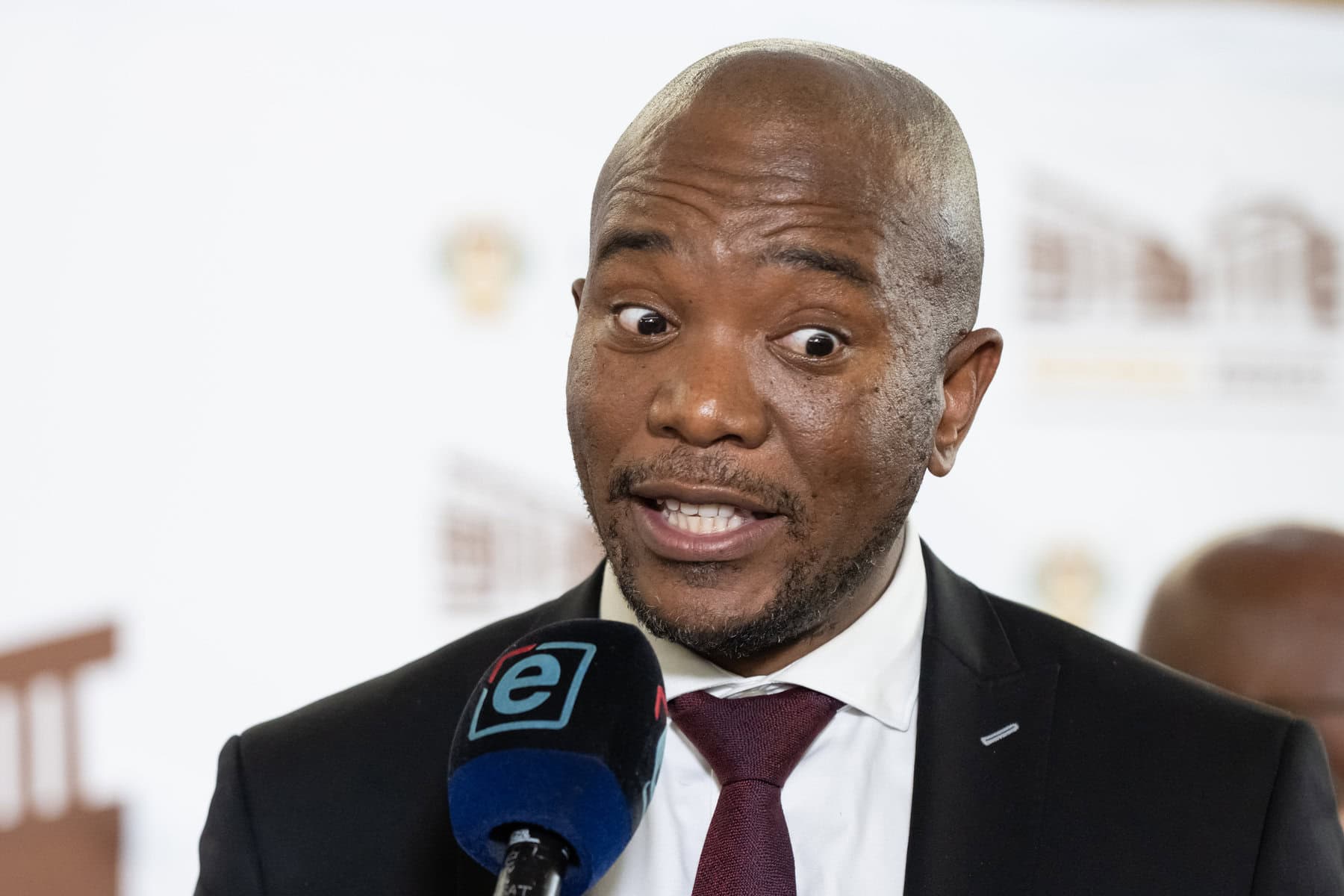 Maimane Bosa payslip bill