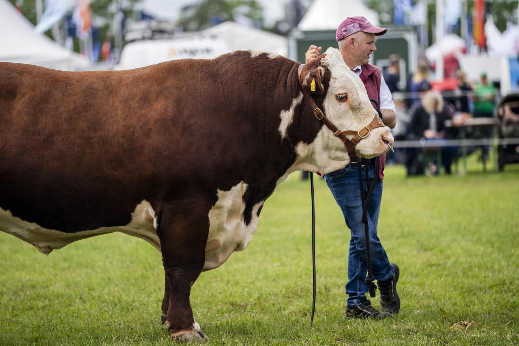 Roskilde Agricultural Show opens