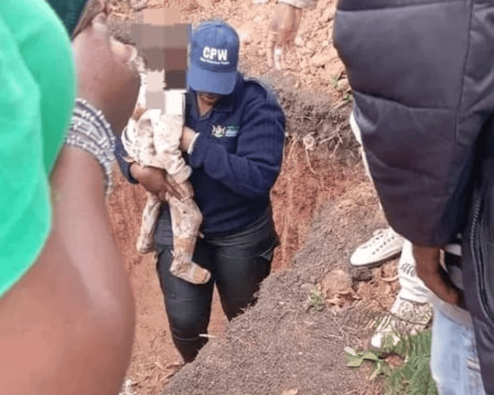 Missing Mpumalanga deaf toddler found alive in a ditch
