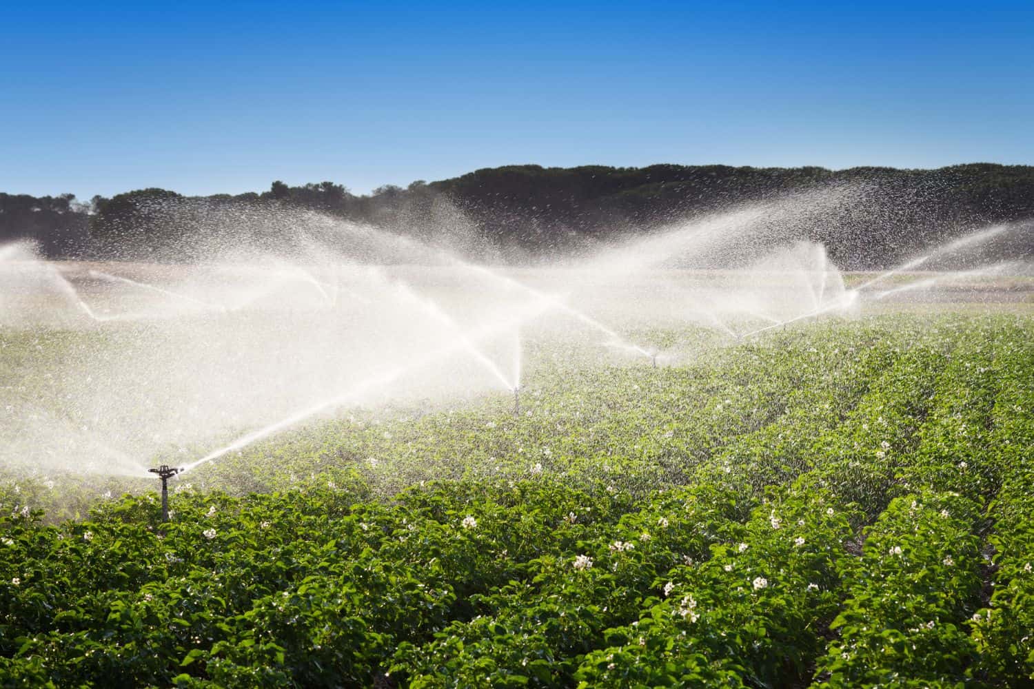 Portfolio Committee / Irrigation/ Farmers/ Water pricing