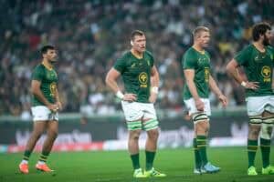 Springbok