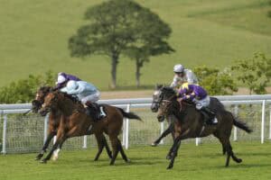 Goodwood horse racing