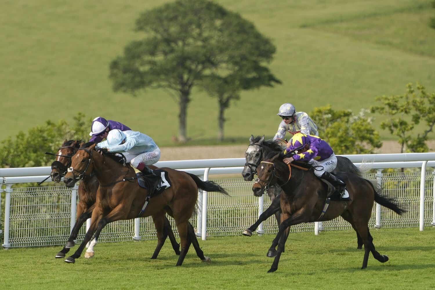 Goodwood horse racing