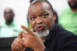 Ramaphosa appoints Gwede Mantashe as acting police minister