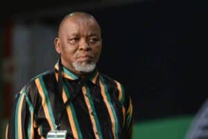 Gwede Mantashe is the caretaker police minister