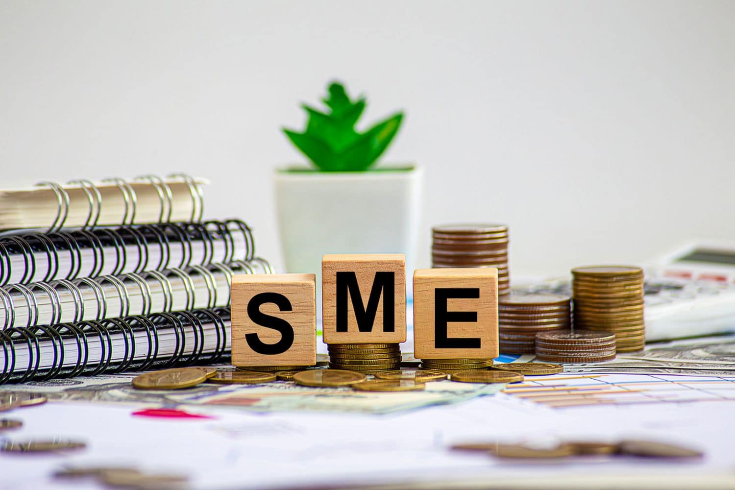 Here is how SMEs can take advantage of the G20 and B20 summits