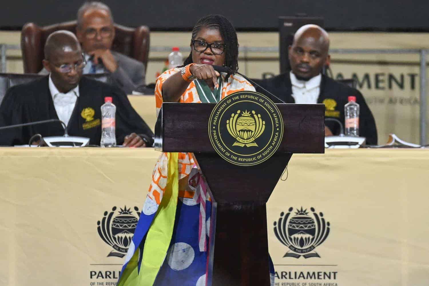 Nkabane Seta board chairpersons Parliament