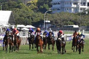 Horses racing at Greyville