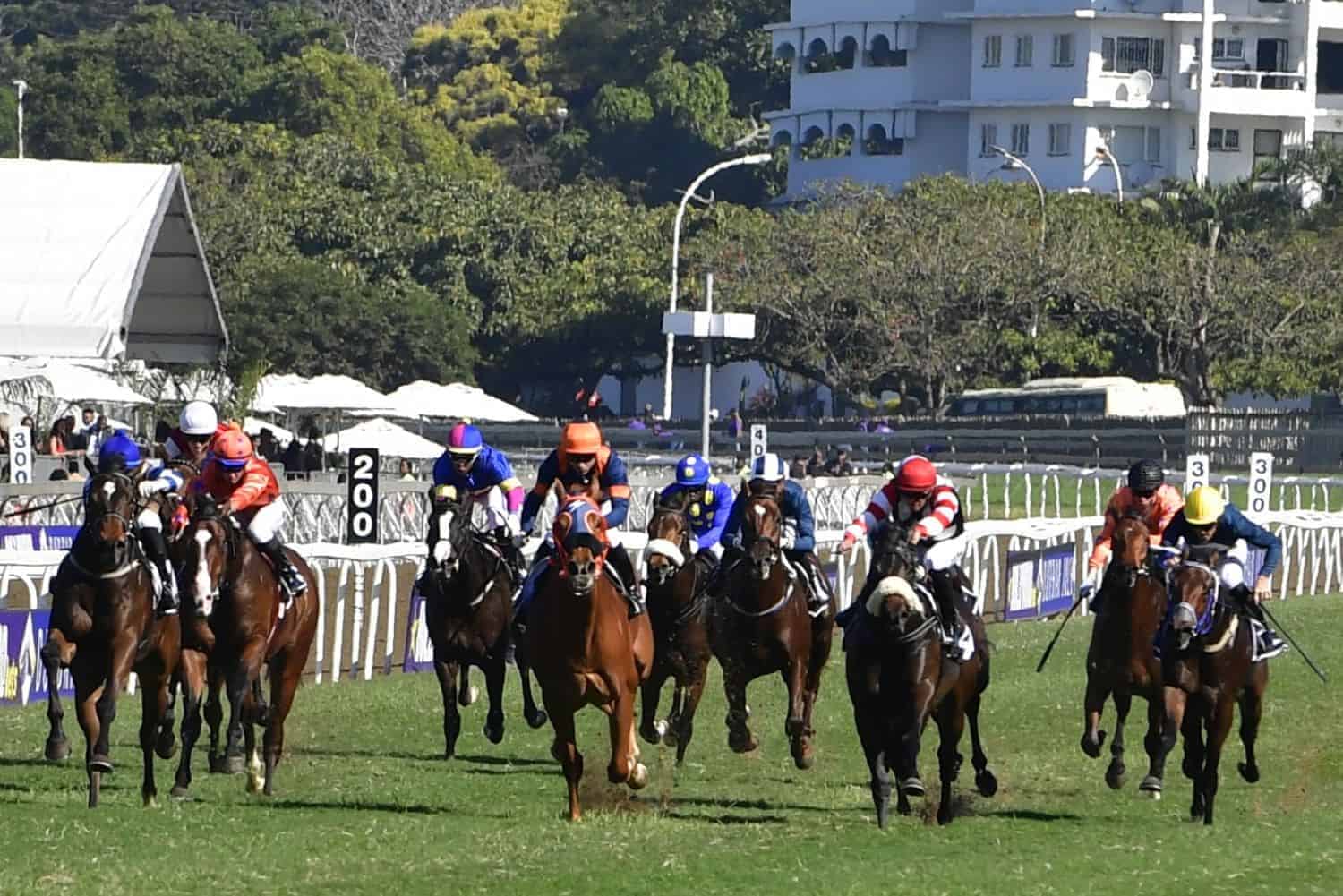 Horses racing at Greyville