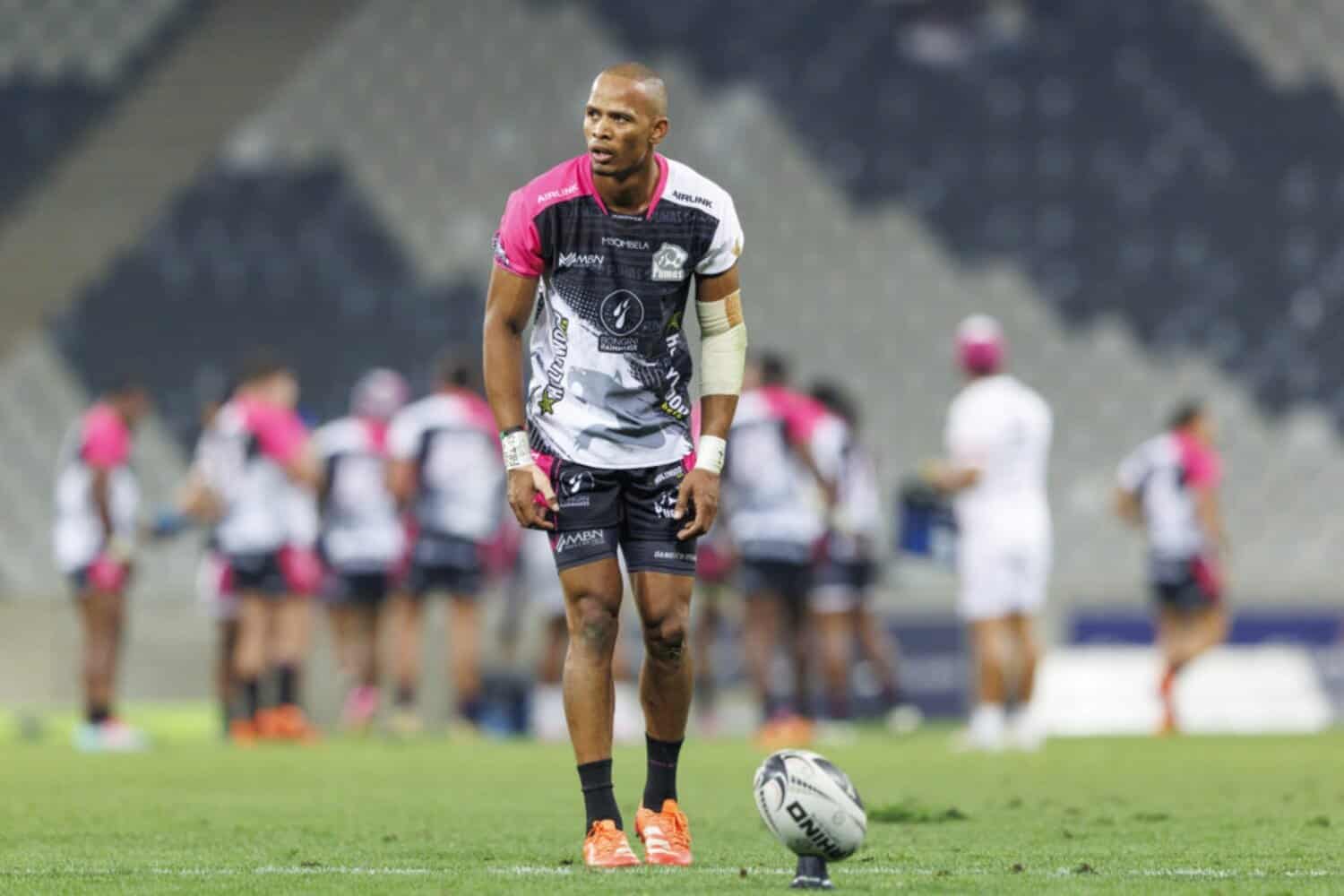 Pumas